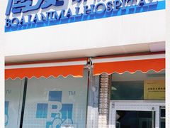 -北京博爱动物医院有限公司