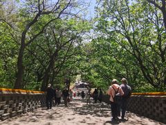 -沈阳市东陵公园