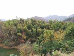 -敬亭山风景名胜区-弘愿寺