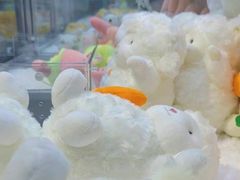 -鹏欣水游城