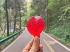 -金堂县云顶石城风景区