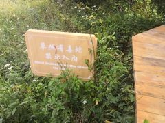 -白草畔自然风景区