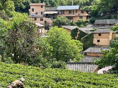 -杨家堂村