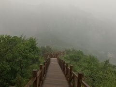-大岭沟猕猴桃谷风景区