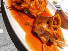 松鼠大桂鱼-绿波廊(豫园店)