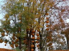 -白鹭湾湿地公园