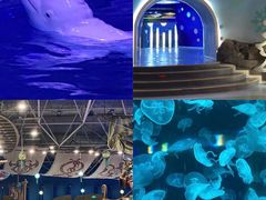 -海合安青岛极地海洋公园