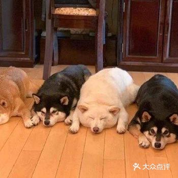 你吓到我了知道不，你是不是很牛呀你牛你来比比呀