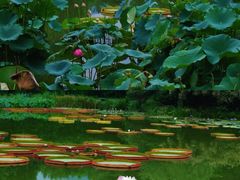 -国家植物园南园