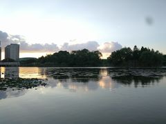 -新江湾城公园
