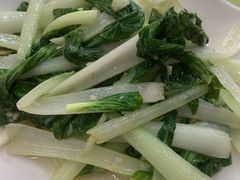 小白菜-秋姐美食店(旅游大道店)