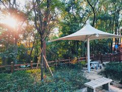 -南国桃园旅游度假区