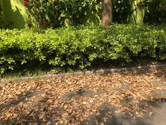 -大宁国际幼儿园(永和东路)