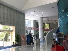 -深圳东部华侨城瀑布酒店
