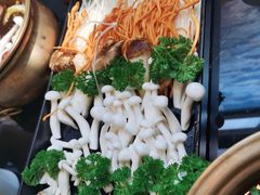 -慢丽江·云南野生菌土鸡锅(西山店)