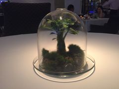 -AZUR聚(香格里拉饭店)