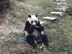 -大连森林动物园