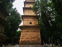-兴教寺