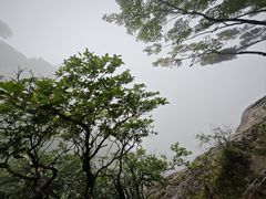 -黄山翡翠谷景区