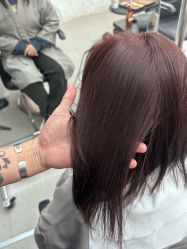 -BOF HAIR BY HONTO