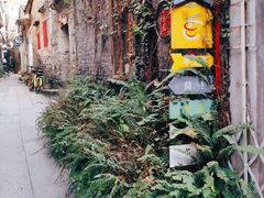 -小洲村