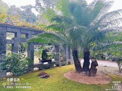 -深圳仙湖植物园