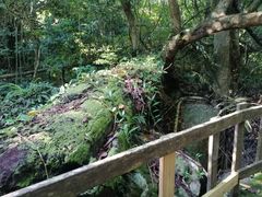 -七仙岭温泉国家森林公园