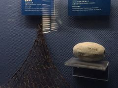 -荆州博物馆