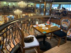 -more than meow吴止猫主题餐厅(承德 中船汇店)