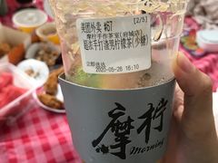 -万绿园