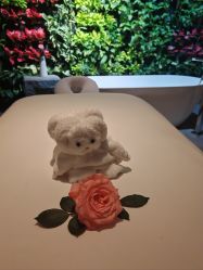 -VELEE·SPA高定疗愈会所