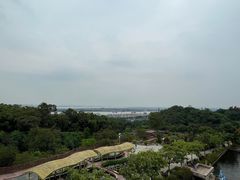 -广州莲花山旅游区