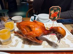 -大鸽饭(北京路店)