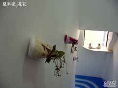 -华氏画廊