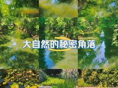 -上海滨江森林公园