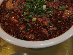 -蒲氏烤鸭(百寿路店)
