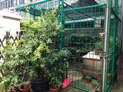 -公平路渡口(轮渡站)
