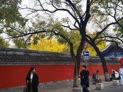 -北京国子监胡同