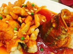 松子桂鱼-金时代顺风大酒店(协泰店)