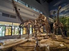 -自贡恐龙博物馆