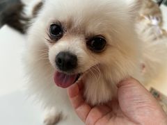 -怪兽屋·羊驼·猫咖·狗咖(俊华广场店)