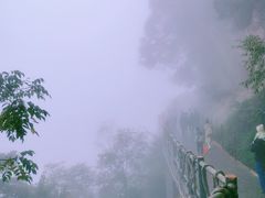 -少华山国家森林公园