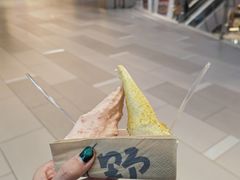 -野人先生现做冰淇淋(北京环宇荟店)