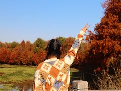 -上海海湾国家森林公园