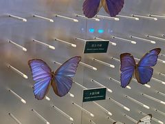 -陕西自然博物馆