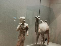 -敦煌市博物馆