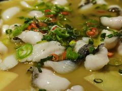 椒麻黑鱼片-滇铺子·云南特色菜·第九届野生菌美食节(东风东路c86店)