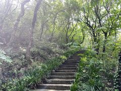 -句容茅山景区