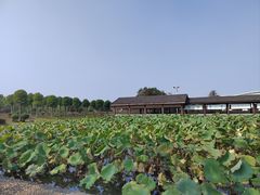 -千龙湖生态旅游度假区