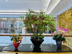 -龙悦湾酒家·八阵鱼生·渔人码头店